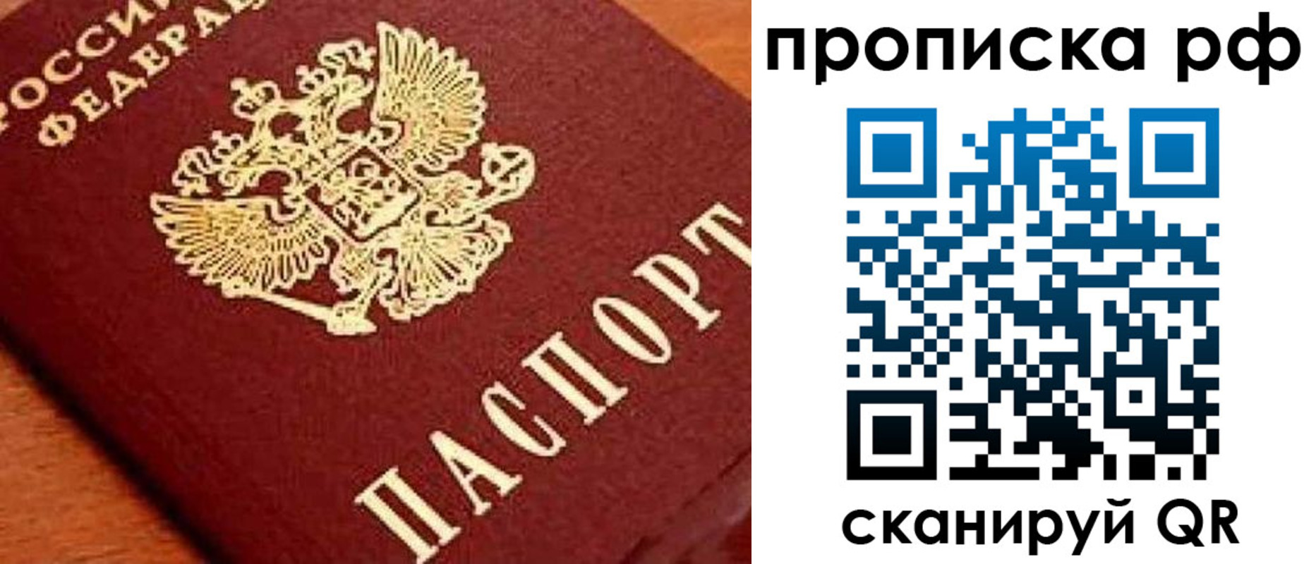прописка законно в Светлограде